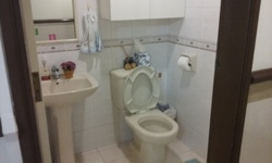 The Tanamera (D16), Condominium #174821432